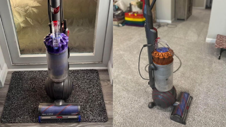 Dyson Ball Animal 2 vs 3: Find the Best Vac For Pet Hair?