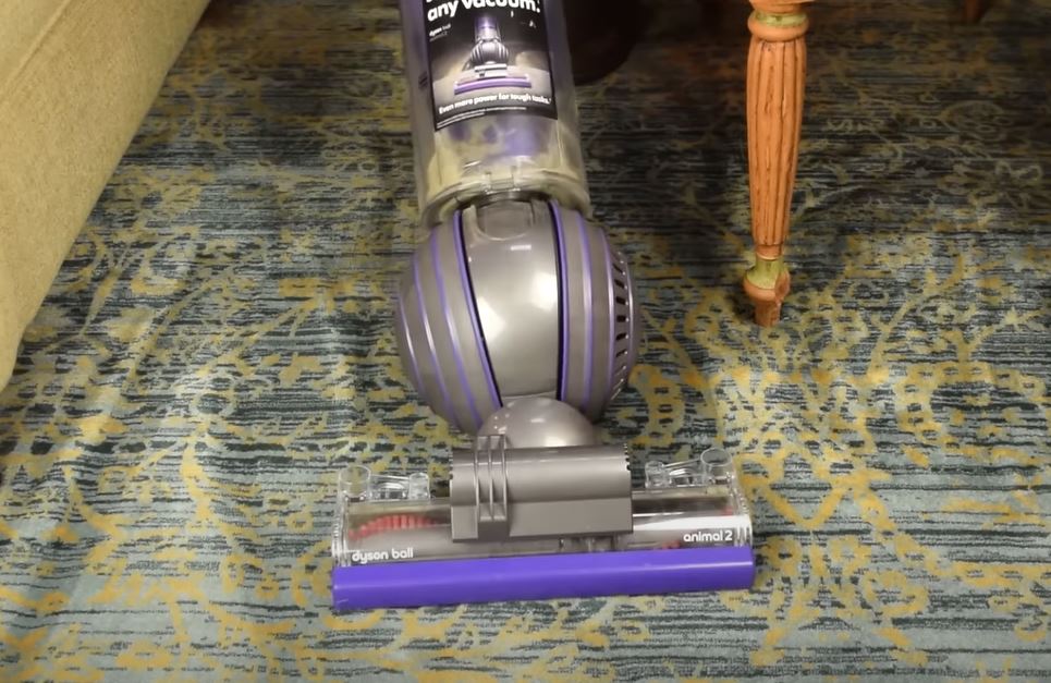 Dyson Ball Animal vs Animal 2 Which Vacuum Performs Better?