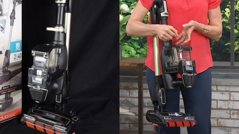 shark if281 vs if282: what is the difference?